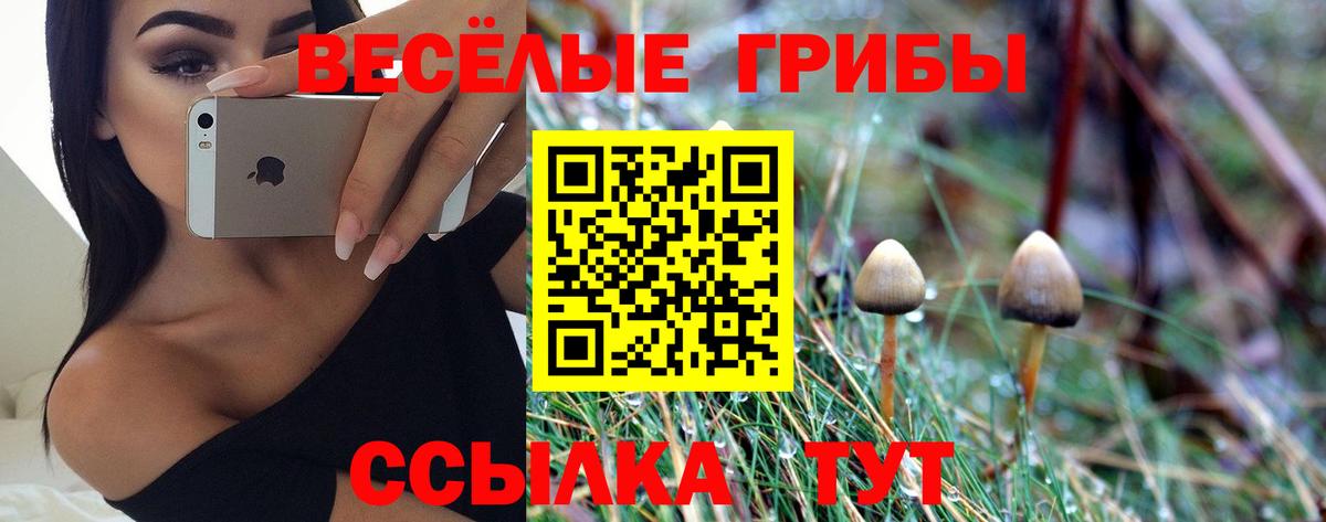 Псилоцибиновые грибы MAGIC MUSHROOMS  Вход с VPN  Вышний Волочёк  Галлюциногенные грибы Magic Shrooms 